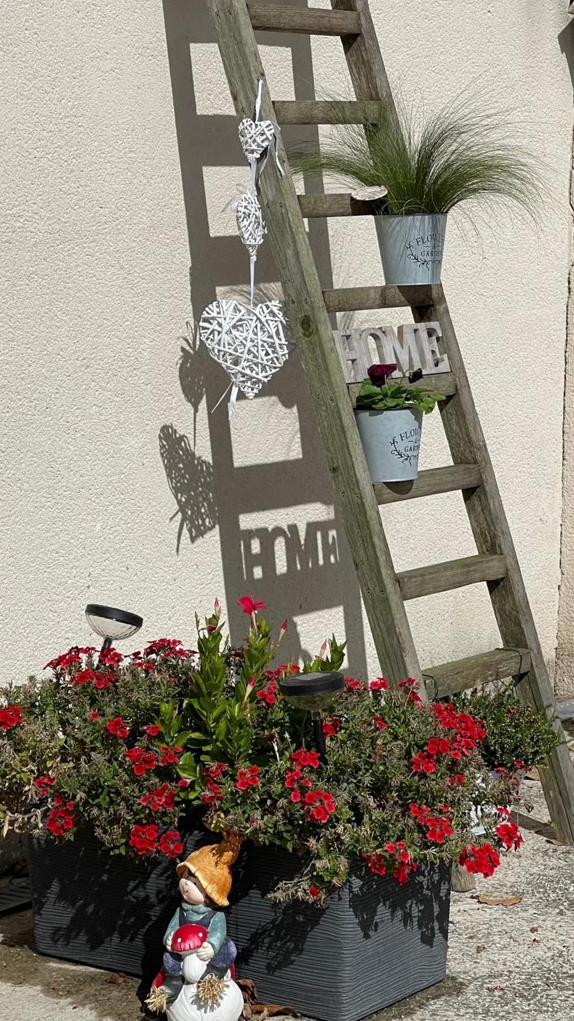 Studio Les Petits Lutins Entraigues-sur-la-Sorgue ภายนอก รูปภาพ